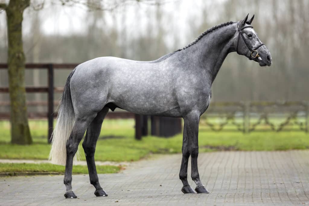 Dorian-grey.-standfoto-1024x683