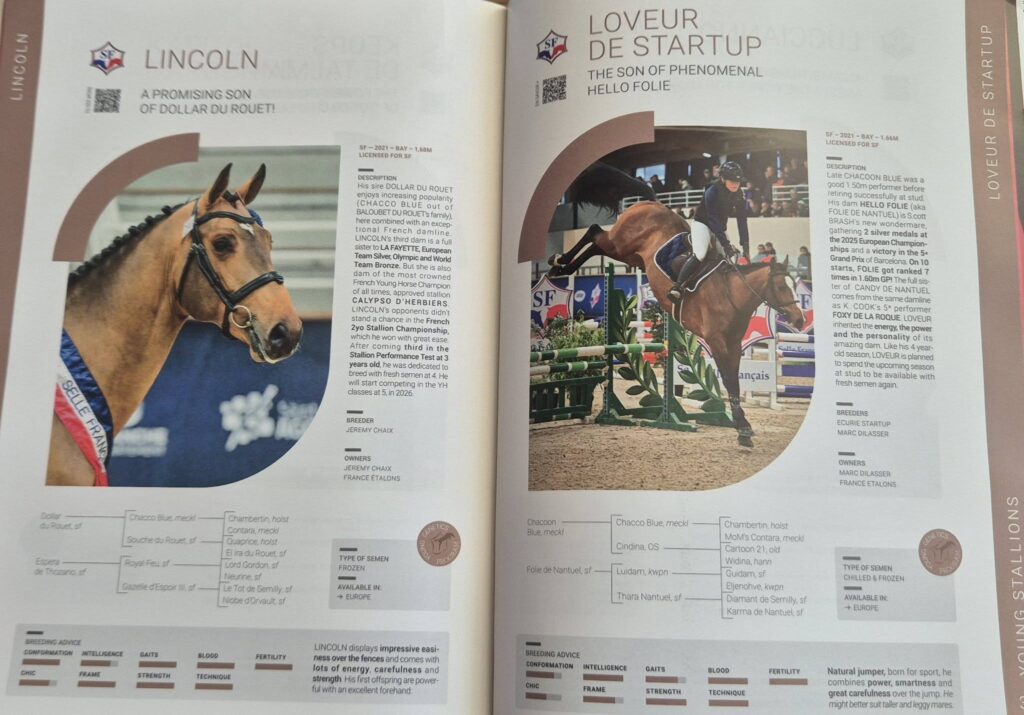 France Etalons Loveur Lincoln 641536529_1576743137231964_6933044916393087755_n